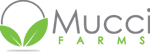 Mucci